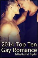 2014Top10GayRomance
